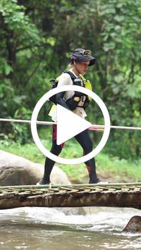 BIB:  <button type="button" onclick="openModal(26804066)" class="btn btn-primary btn-sm float-right" data-toggle="modal" data-target=".modal-high-quality">
                <i class="fa fa-download"></i> Download
                </button>